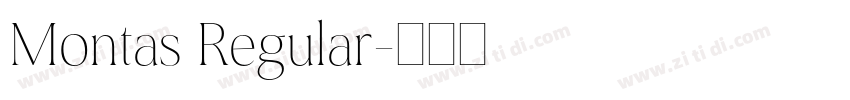 Montas Regular字体转换